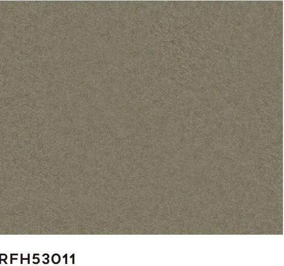 RFH53011