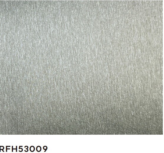 RFH53009