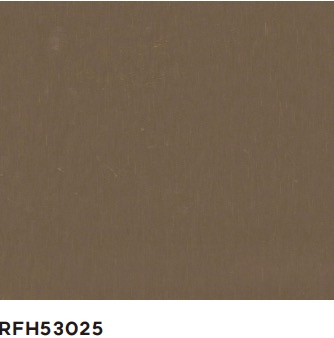 RFH53025