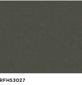 RFH53027