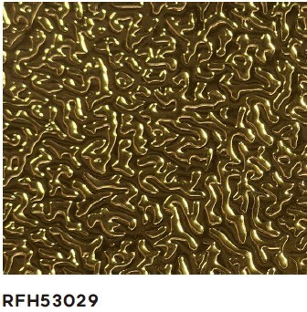RFH53029