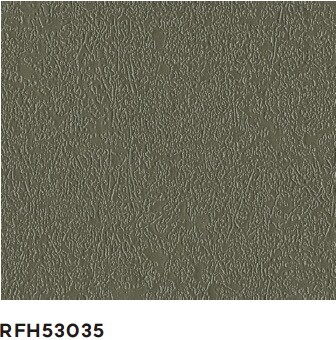 RFH53035