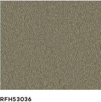 RFH53036