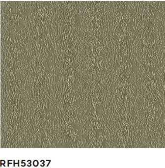 RFH53037