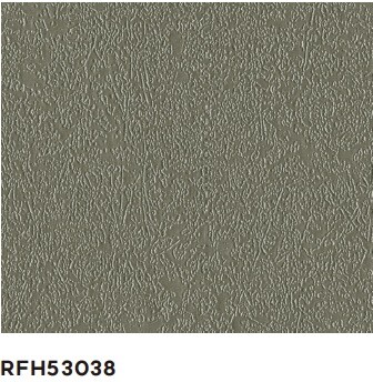 RFH53038