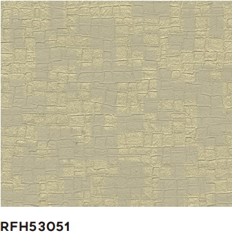 RFH53051