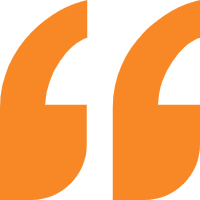 feedback