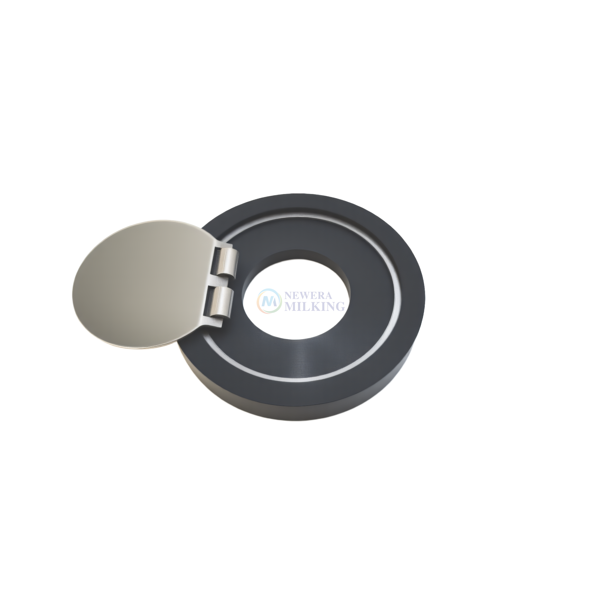 Non Return Valve