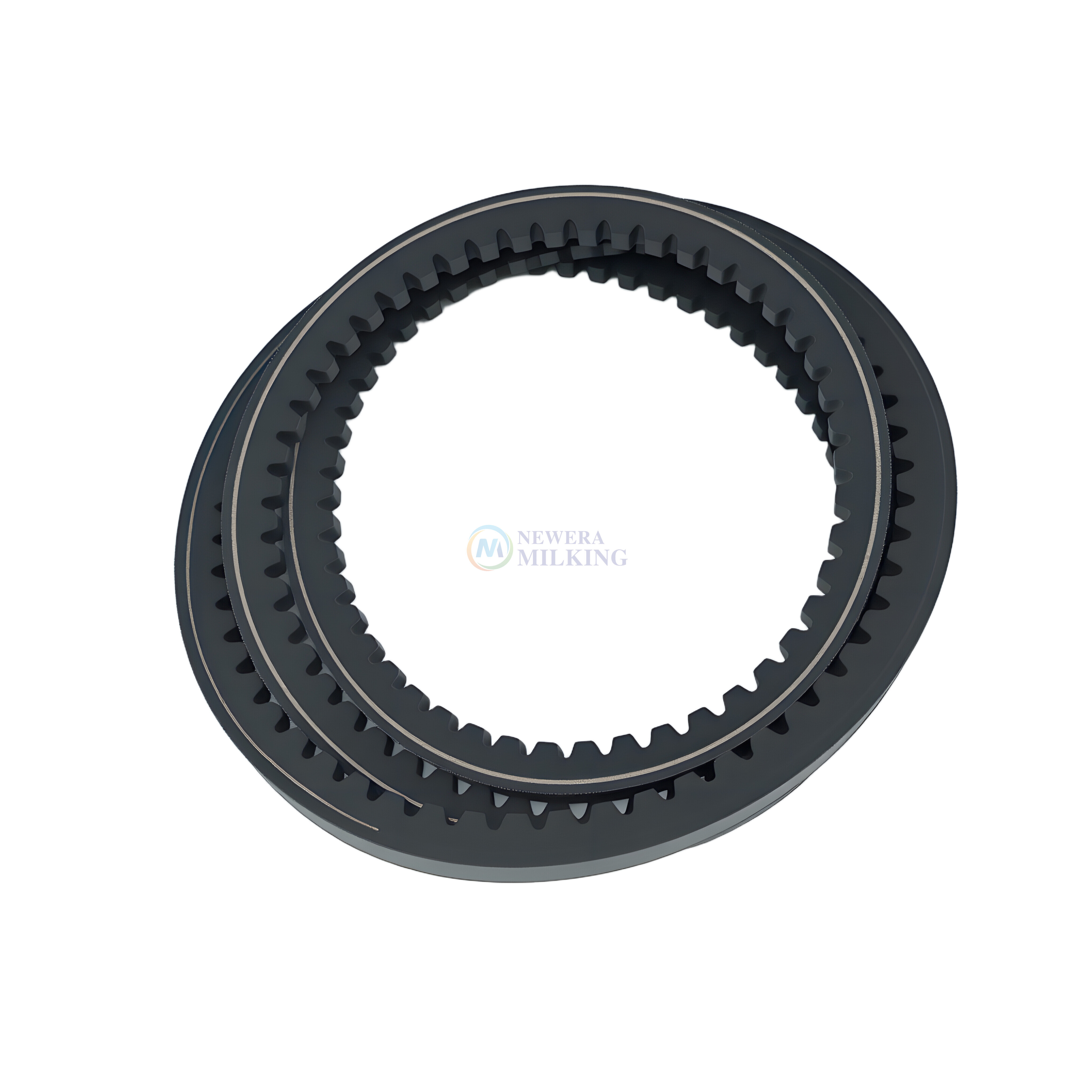BELT, XPB 1800