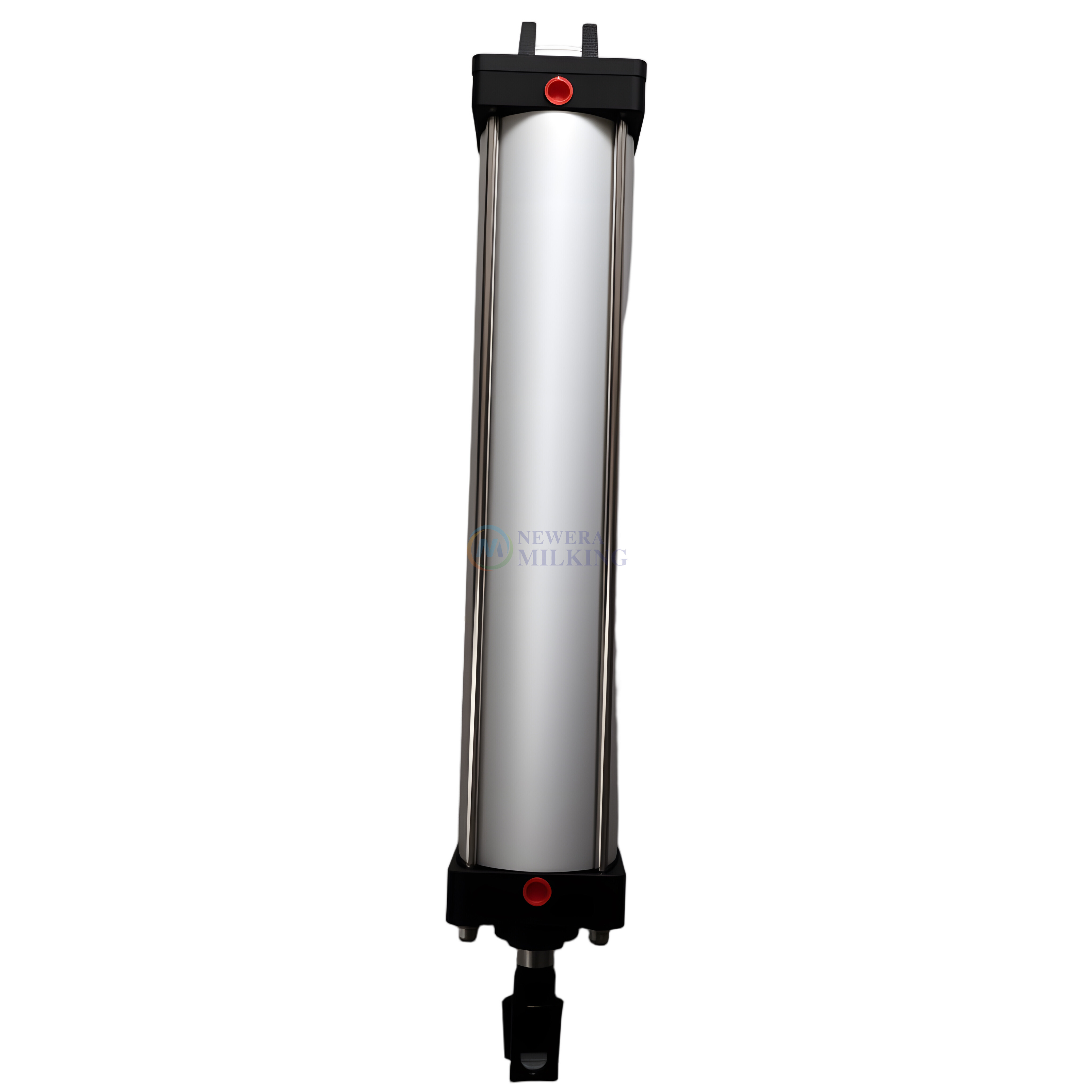 Cylinder -5