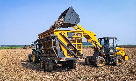 Sugar Cane Bucket