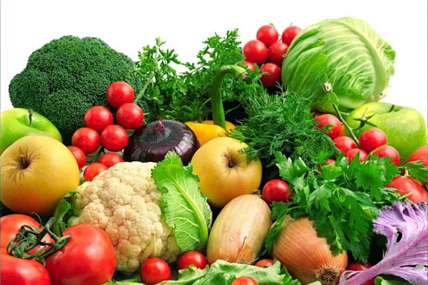 Technical guidance on summer vegetable production