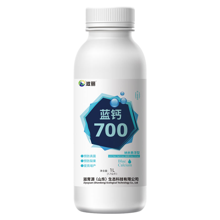 透明.png