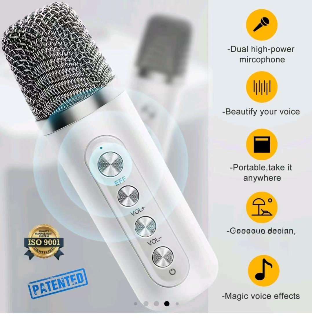 Dual Microphone Wireless Bluetooth Speaker YS-203