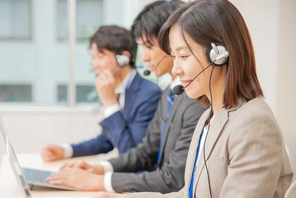 Professional Service Fast delivery time Professional exporting service.