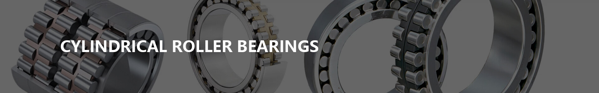 Cylindrical Roller Bearings