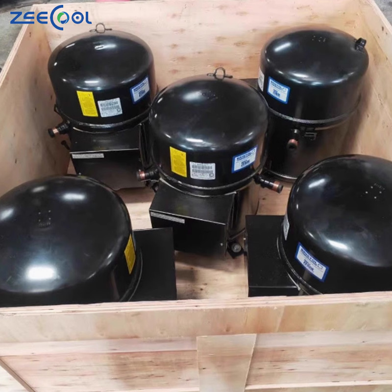 H2NG184DPEF H2NG244DPEF H2NG294DPEF Bristol 15HP 20HP R22 Reciprocating Piston Refrigeration Compressors