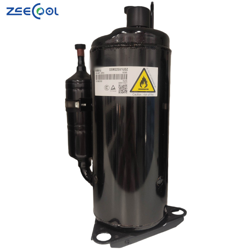 Factory Supply 220-240V 50Hz DSM225V1UDZ DSM230V1UDZ DSM245V1UDZ DSM250V1UDZ DSM265V1UDZ R290 Refrigeration Compressor for GMCC