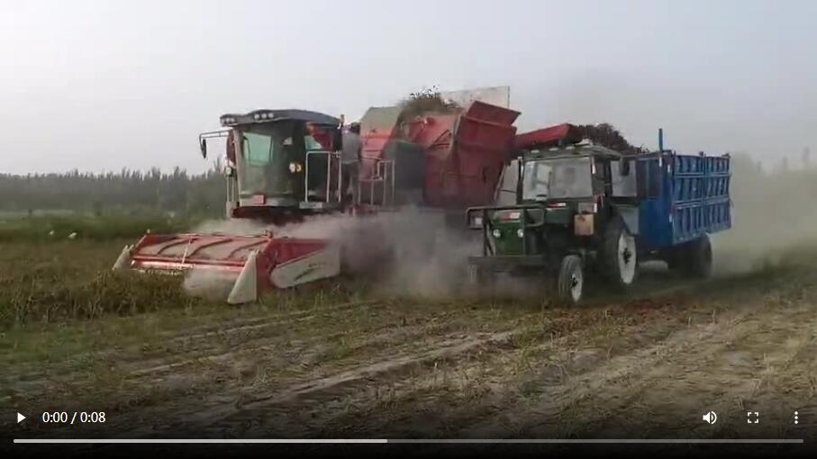 Pepper harvester