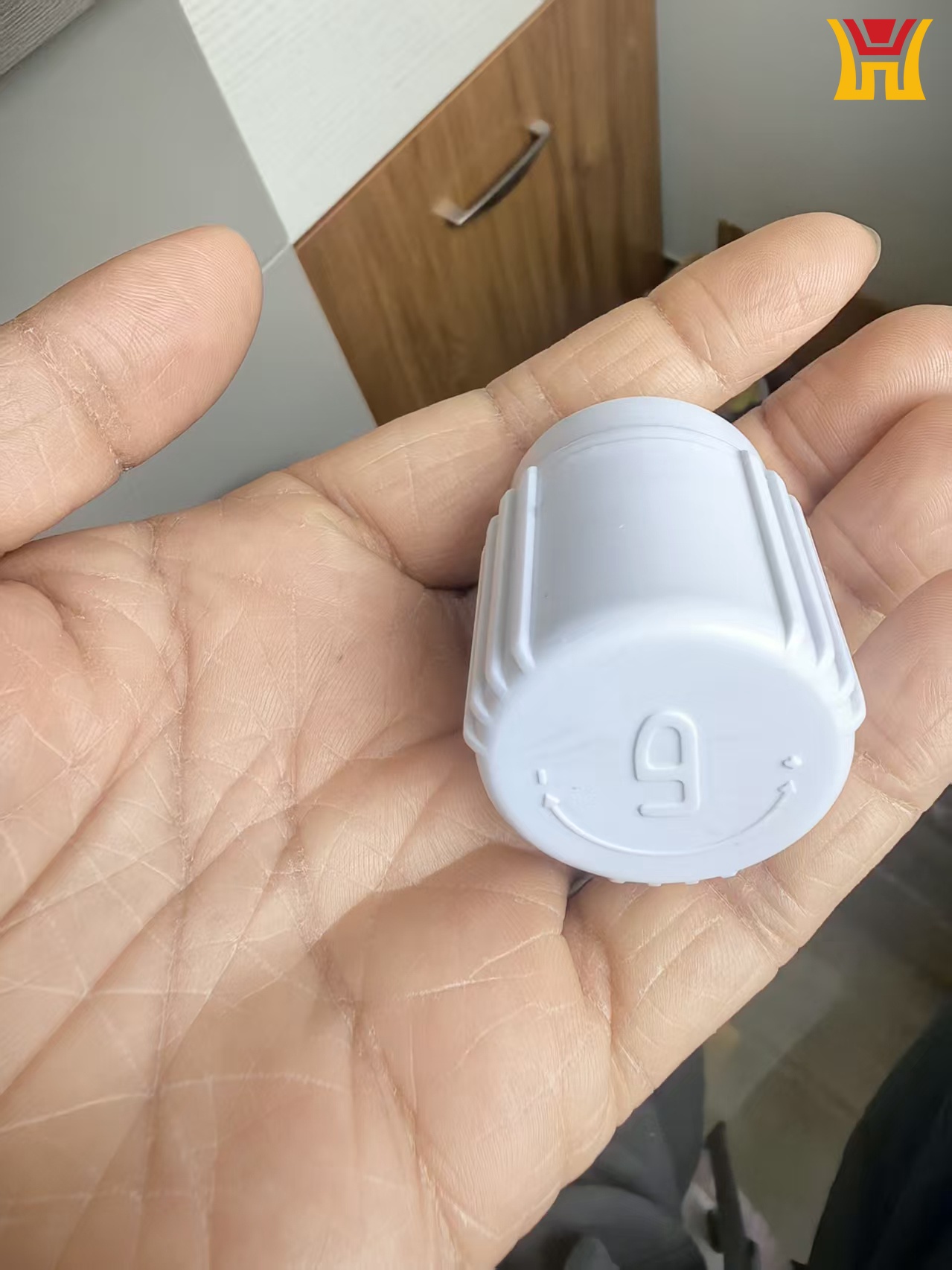 Injection Molding Pipe Cap for Plumbing & Pipeline Fittings