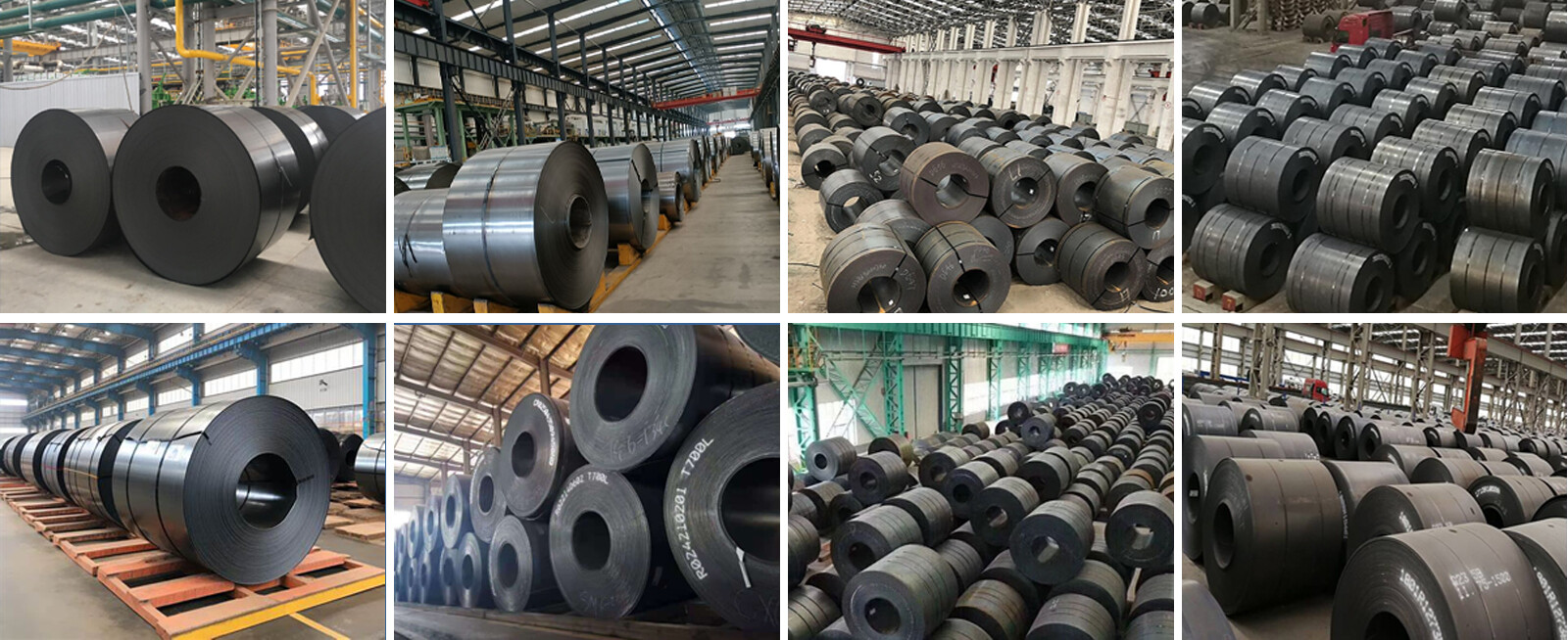 碳钢卷 Carbon Steel Coil