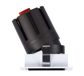 LED Tilt Downlight
