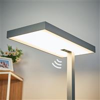Office Floor Light