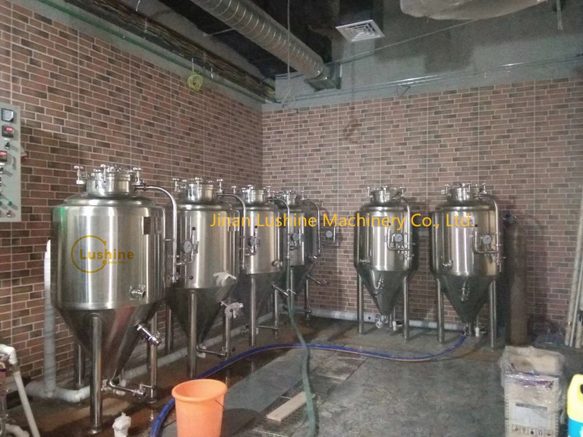 300L beer Fermenter_副本 300L Beer brewing equipment /beer machine