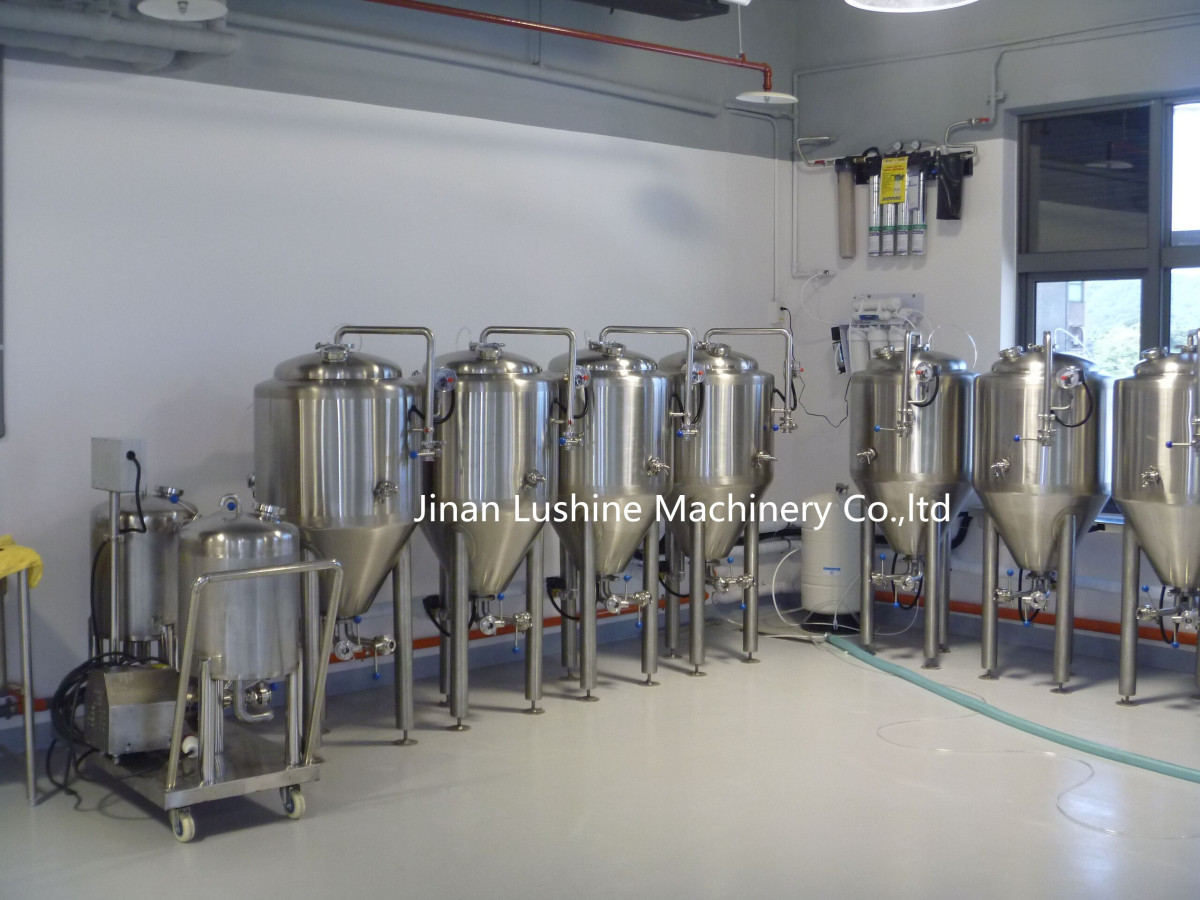 100L Fermenters (2) 200L Brewing System/Beer Equipment