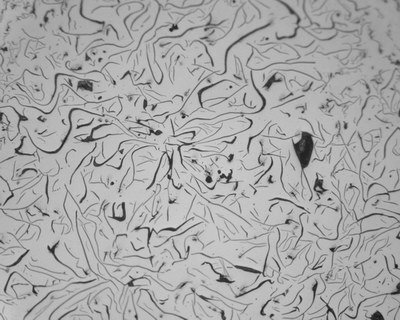 1599099506 microstructure of gray iron