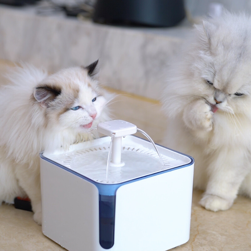 3L Smart Dual-Flow Pet Water Dispenser GWD37 B2B Solutions for Wholesale, Distribution & Retail