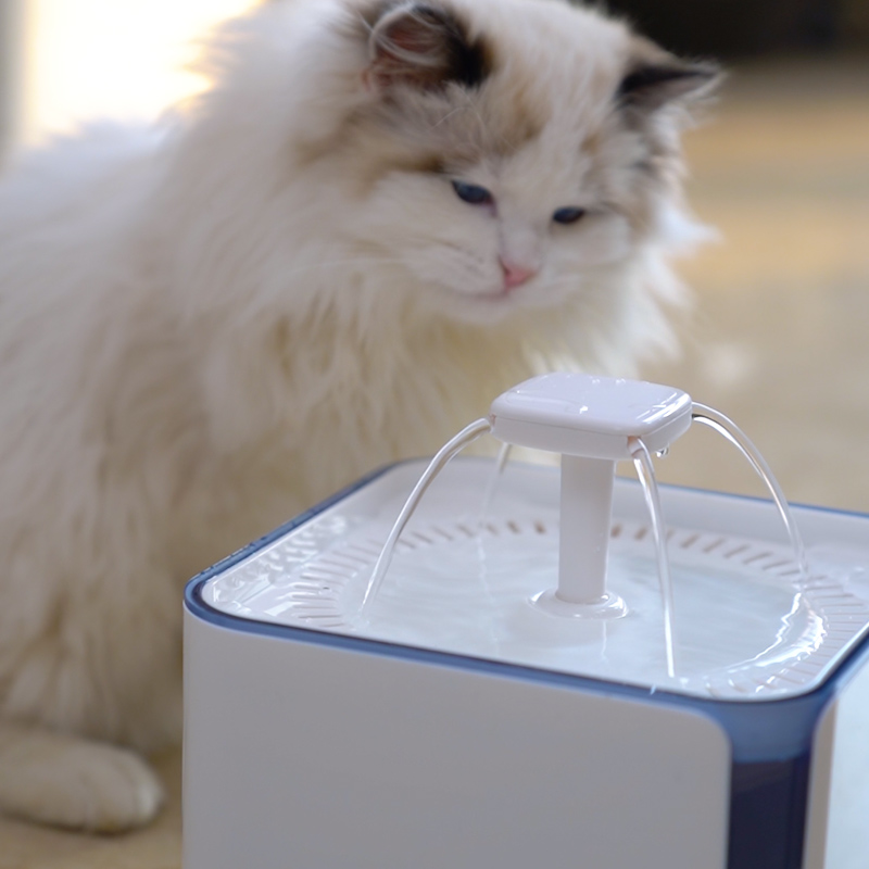 3L Smart Dual-Flow Pet Water Dispenser GWD37 B2B Solutions for Wholesale, Distribution & Retail