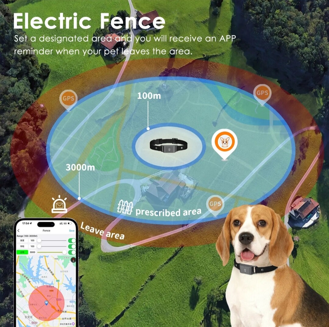 4G Pet GPS Collar with Health Monitoring | IP66 Waterproof & 7-Day Battery | OEM/ODM for Veterinary Clinics & Retailers GTB51