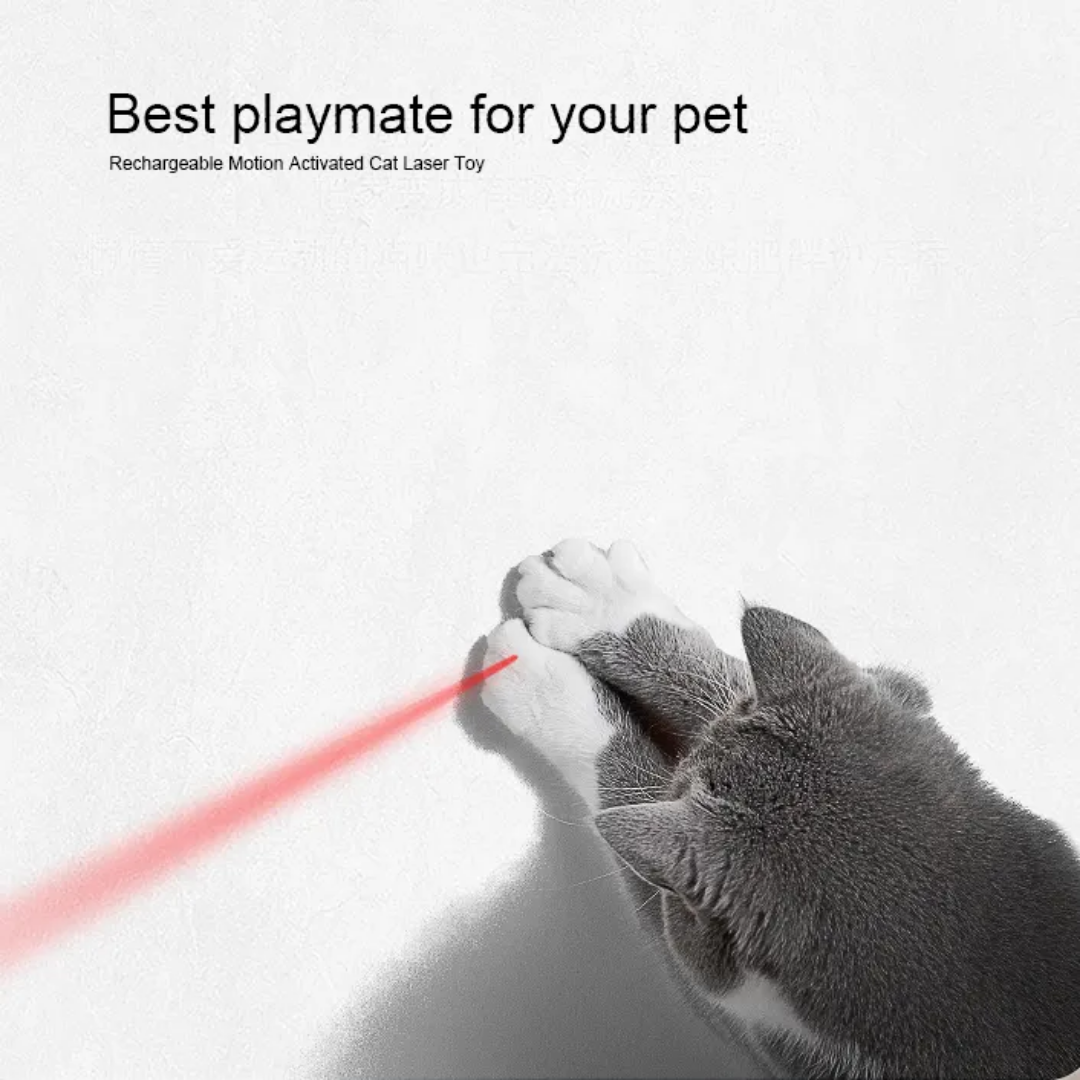 Smart APP-Controlled Laser Cat Toy with Colorful LED Lights GTD70