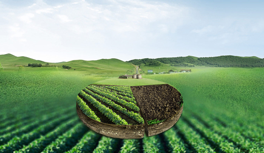 Situação das importações e exportações de fertilizantes da China em 2024 Situação das importações e exportações de fertilizantes da China em 2024