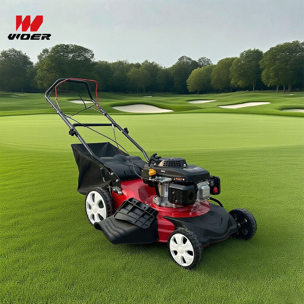 Walking Manual Gasoline Petrol Lawn Mower for Grass Cutting
