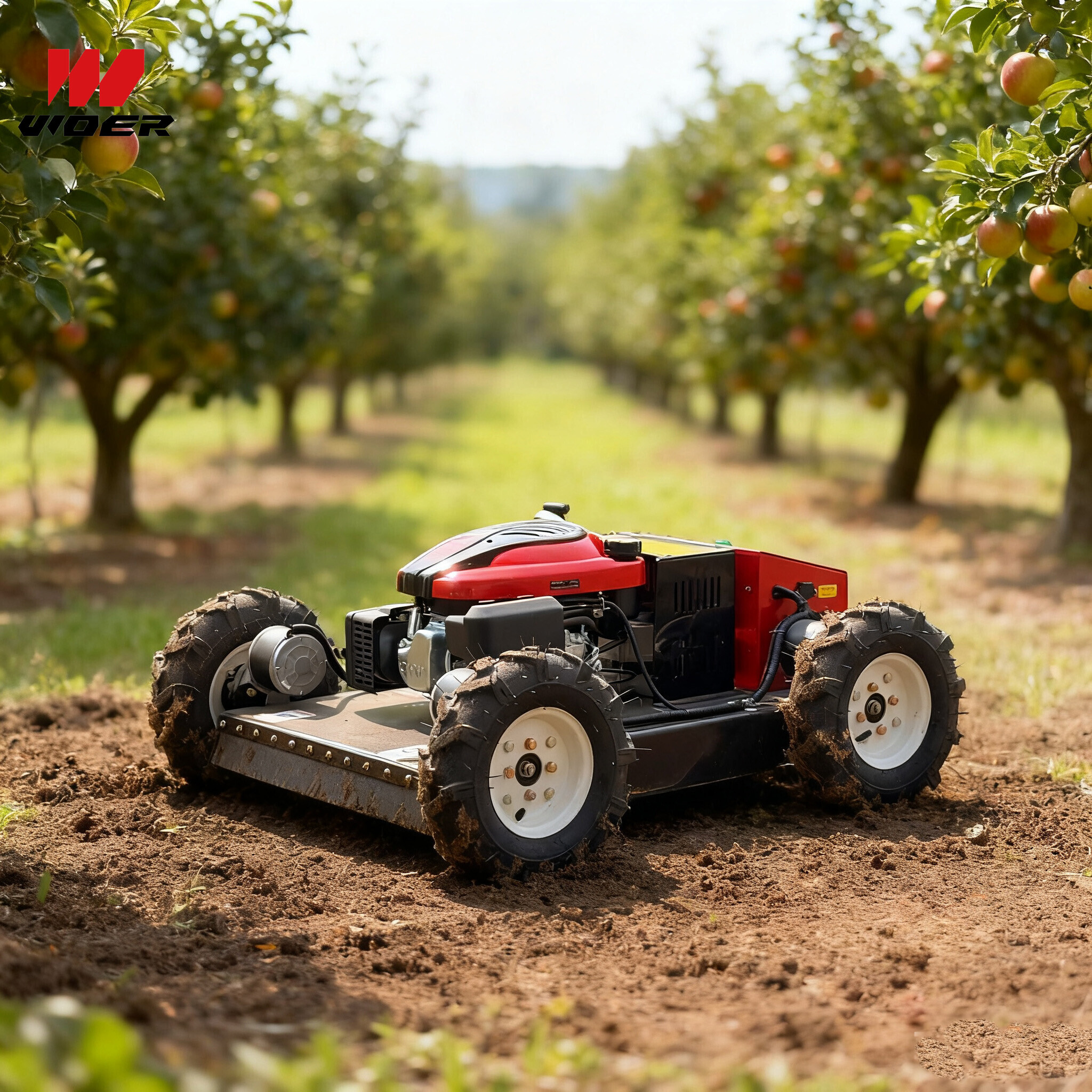 Top-rated petrol lawn mower Models for Heavy-Duty Landscaping Top-rated petrol lawn mower Models for Heavy-Duty Landscaping