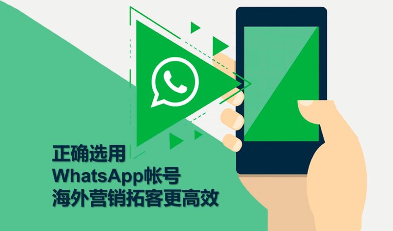 WhatsApp Account Selection: In-depth Analysis of Selection Criteria Suggested Favorites~