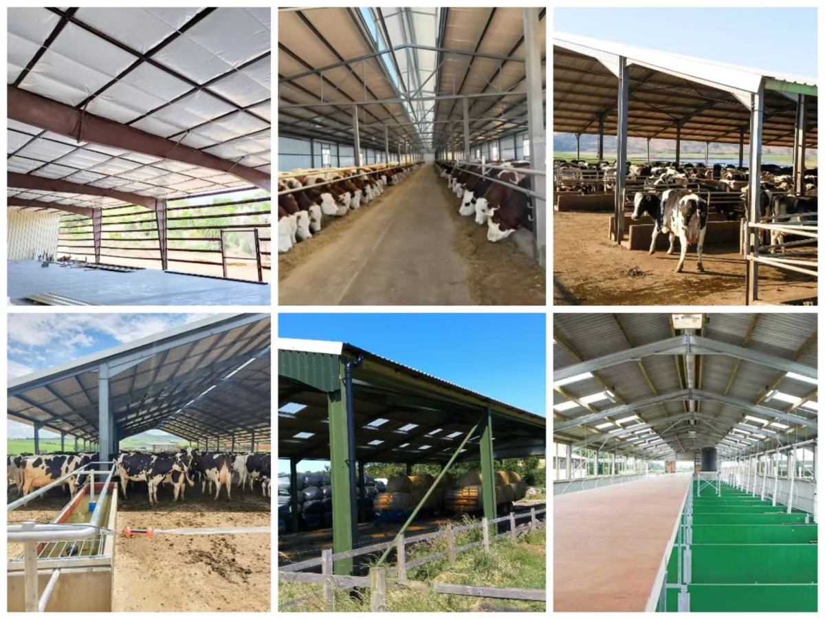 e4ee5174f4a597b363b6f67a9527c14f Steel Structure Farm Shed