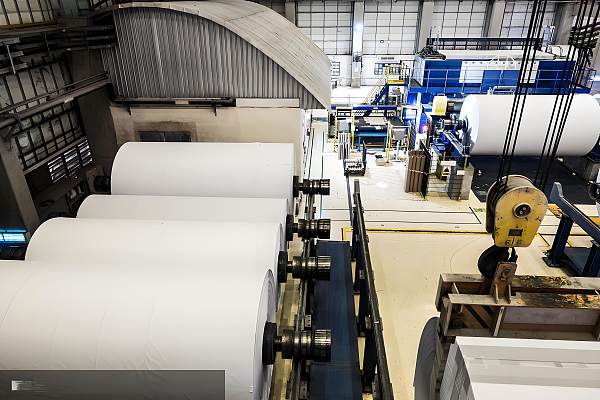 Kowloon Paper Group