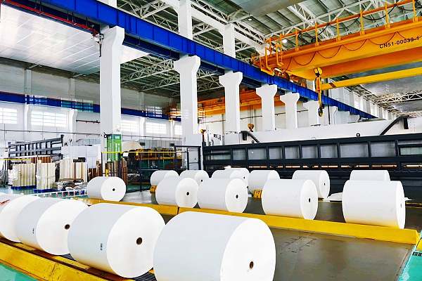 Kowloon Paper Group