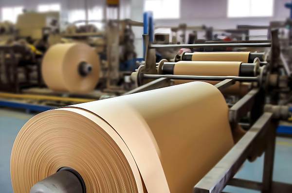 Kowloon Paper Group