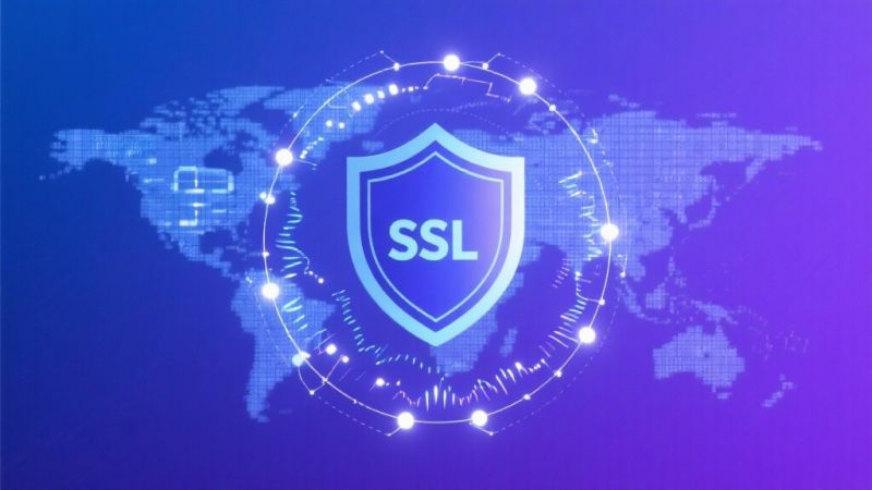 해외 무역 독립 사이트 이탈률 40% 감소 후 SSL 인증서 활성화