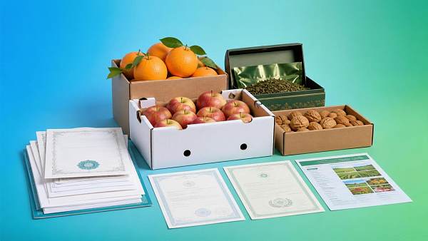 农产品出口网站建站需要哪些资质 농산물 수출 웹사이트 구축에 필요한 자격 요건