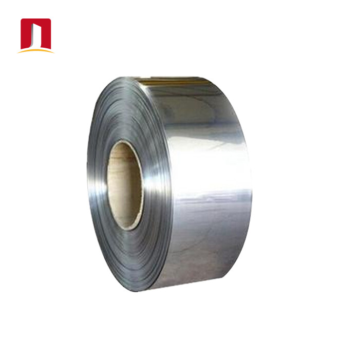 Stainless Steel Strip