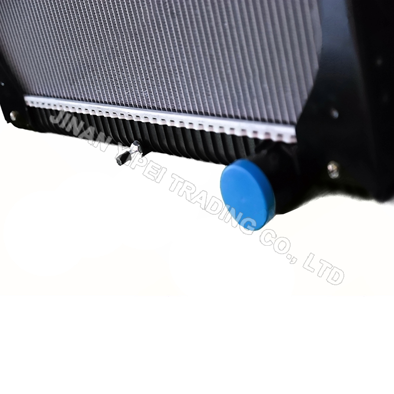 DZ95259532217 Conjunto Radiador SHACMAN