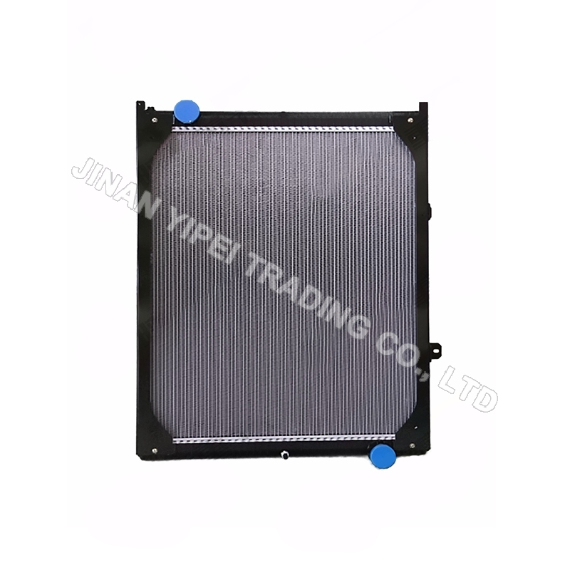 DZ95259532217 Conjunto Radiador SHACMAN