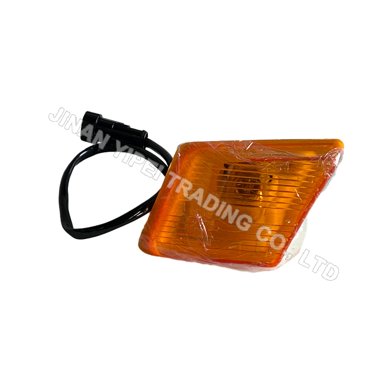 Luces de giro a la izquierda DZ97189721330