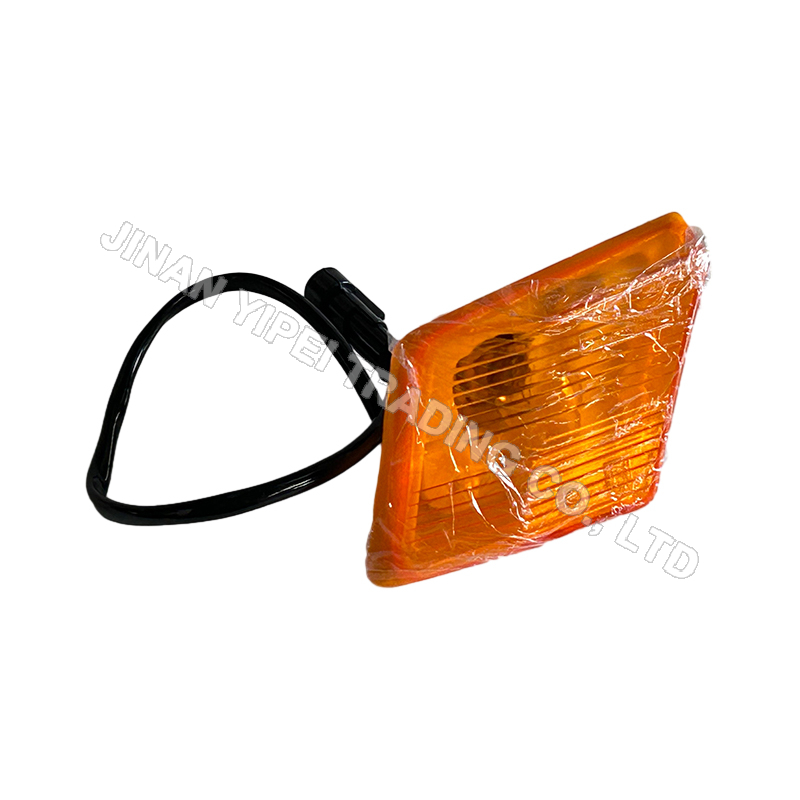 Luces de giro a la izquierda DZ97189721330