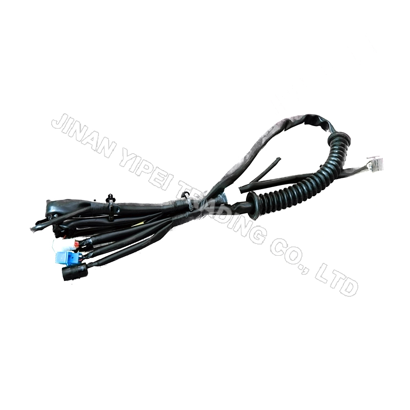 Arnes de Cableado de la Puerta Principal (Bloqueo Central Eléctrico BCM) SHACMAN DZ97189772888